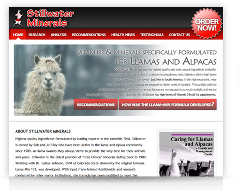 Stillwaterminerals.com