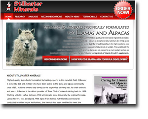 Stillwater Minerals